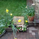 park cottage garden and seating area