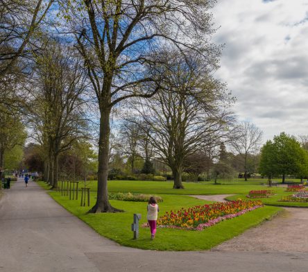 A view of a park in Warwick