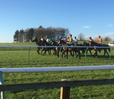 Horses racing at Warwick Racecourse