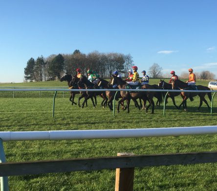 Horses racing at Warwick Racecourse